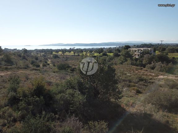 Land plot 4.037 sqm for sale, Argolis, Ermioni
