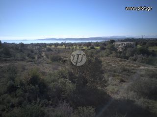 Οικόπεδο 4.037 τ.μ. για πώληση, Αργολίδα, Ερμιόνη-thumb-9