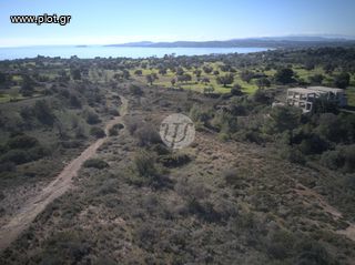 Οικόπεδο 4.037 τ.μ. για πώληση, Αργολίδα, Ερμιόνη-thumb-10