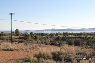 Οικόπεδο 4.037 τ.μ. για πώληση, Αργολίδα, Ερμιόνη-thumb-12