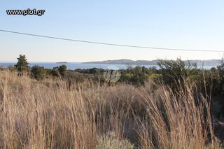 Οικόπεδο 4.037 τ.μ. για πώληση, Αργολίδα, Ερμιόνη-thumb-13