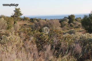 Οικόπεδο 4.037 τ.μ. για πώληση, Αργολίδα, Ερμιόνη-thumb-16