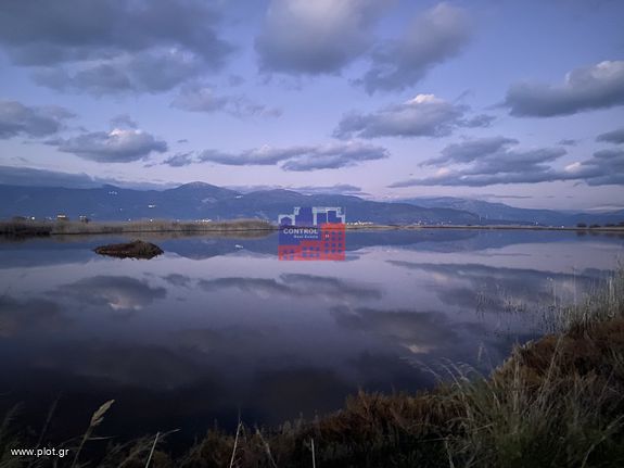 Αγροτεμάχια 2.000 τ.μ. για πώληση, Αχαΐα, Αίγιο