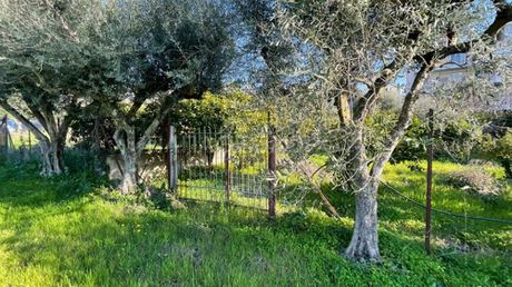 Οικόπεδο 800 τ.μ. για πώληση