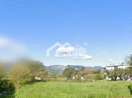 Land plot 7.000 sqm for sale, Zante, Main Town Area