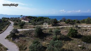 Οικόπεδο 400 τ.μ. πρός πώληση, Αργολίδα, Κρανίδι-thumb-9