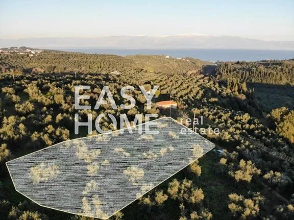 Land plot 2.817 sqm for sale, Messinia, Koroni