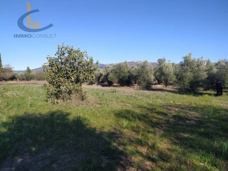 Οικόπεδο 2.400τ.μ. για πώληση-Αμάρυνθος » Κουκάκι