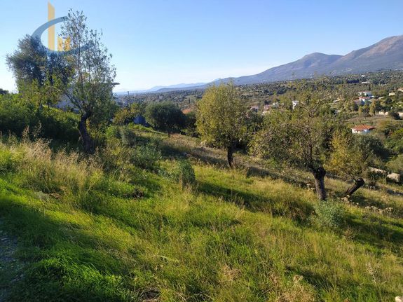 Οικόπεδο 1.300 τ.μ. για πώληση, Εύβοια, Αμάρυνθος