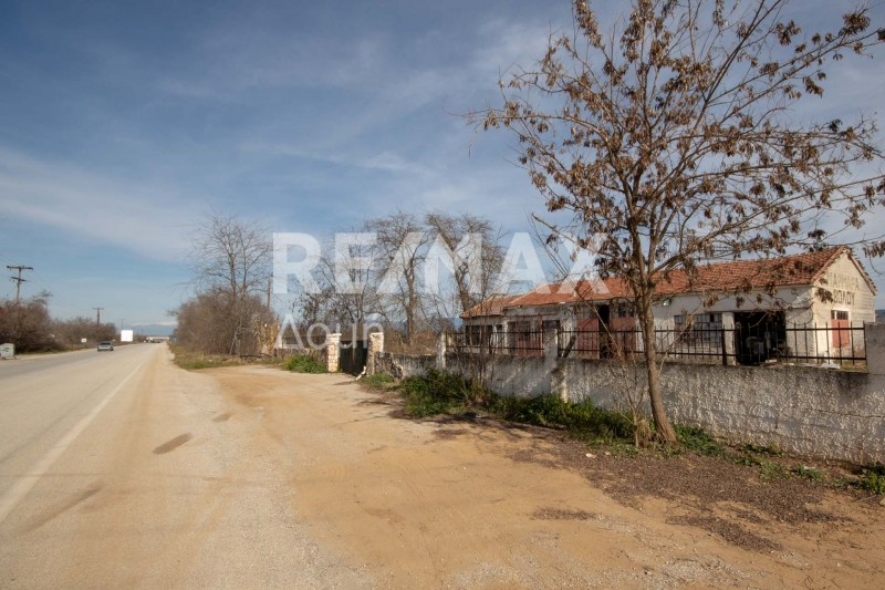 Βιοτεχνικός χώρος 589 τ.μ. πρός πώληση, Μαγνησία, Φερών