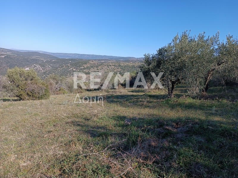 Αγροτεμάχια 30.480 τ.μ. πρός πώληση, Μαγνησία, Νέα Ιωνία Βόλου