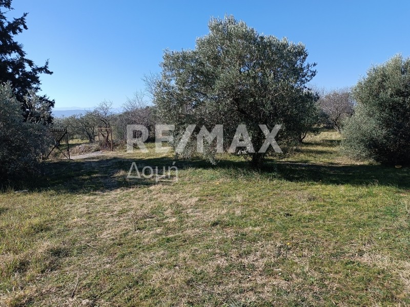 Αγροτεμάχια 30.480 τ.μ. πρός πώληση, Μαγνησία, Νέα Ιωνία Βόλου