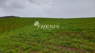 Οικόπεδο 108.000 τ.μ. για πώληση, Εύβοια, Ταμύνες-thumb-1
