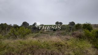 Οικόπεδο 108.000 τ.μ. για πώληση, Εύβοια, Ταμύνες-thumb-3