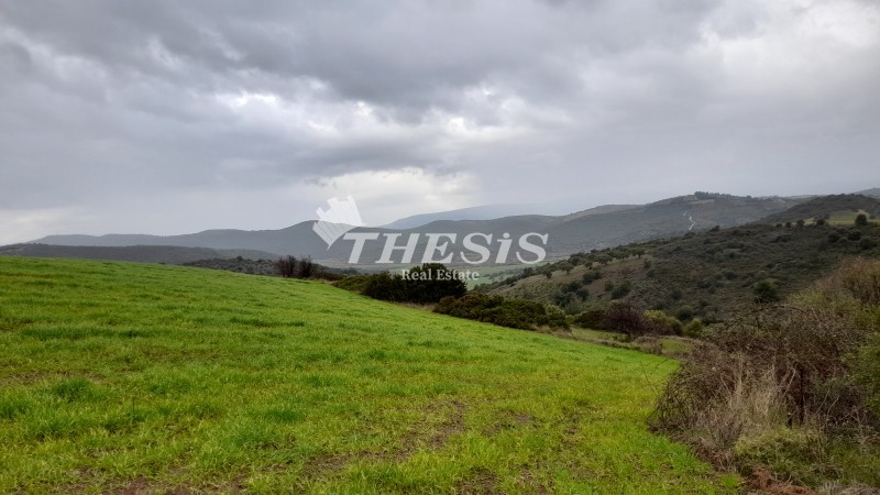 Οικόπεδο 108.000 τ.μ. για πώληση, Εύβοια, Ταμύνες