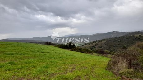 Οικόπεδο 108.000τ.μ. για πώληση-Ταμύνες » Αλιβέρι