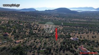 Οικόπεδο 4.116 τ.μ. για πώληση