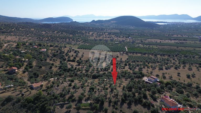 Οικόπεδο 4.116 τ.μ. για πώληση, Αργολίδα, Ερμιόνη