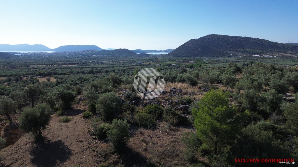 Οικόπεδο 4.116 τ.μ. πρός πώληση, Αργολίδα, Ερμιόνη