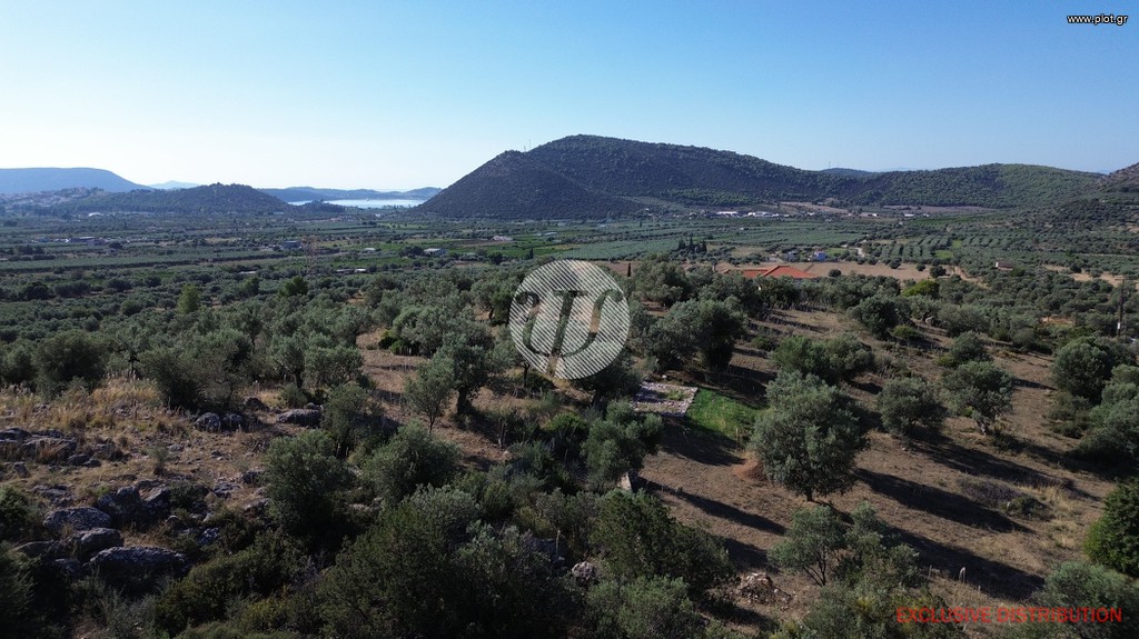 Οικόπεδο 4.116 τ.μ. πρός πώληση, Αργολίδα, Ερμιόνη