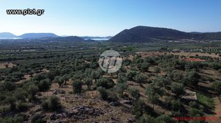 Οικόπεδο 4.116 τ.μ. για πώληση, Αργολίδα, Ερμιόνη-thumb-6