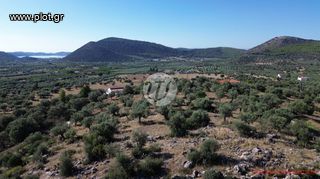 Οικόπεδο 4.116 τ.μ. για πώληση, Αργολίδα, Ερμιόνη-thumb-8