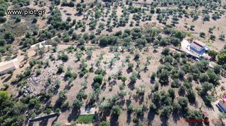 Οικόπεδο 4.116 τ.μ. για πώληση, Αργολίδα, Ερμιόνη-thumb-9