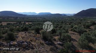 Οικόπεδο 4.116 τ.μ. για πώληση, Αργολίδα, Ερμιόνη-thumb-11