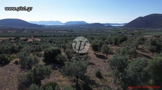 Οικόπεδο 4.116 τ.μ. για πώληση, Αργολίδα, Ερμιόνη-thumb-12