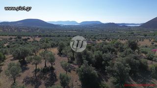 Οικόπεδο 4.116 τ.μ. για πώληση, Αργολίδα, Ερμιόνη-thumb-13