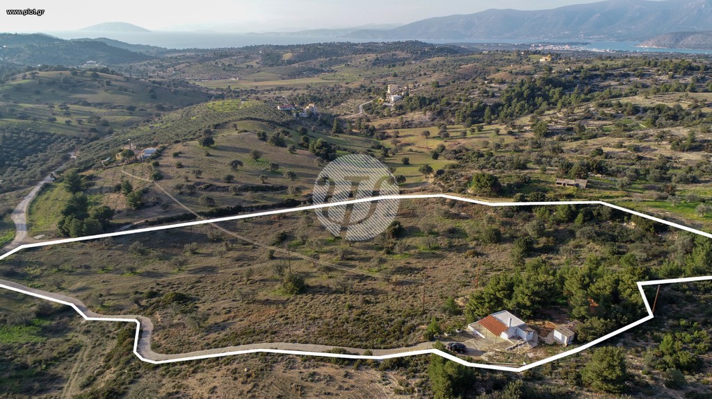 Οικόπεδο 20.000 τ.μ. για πώληση, Αργολίδα, Κρανίδι