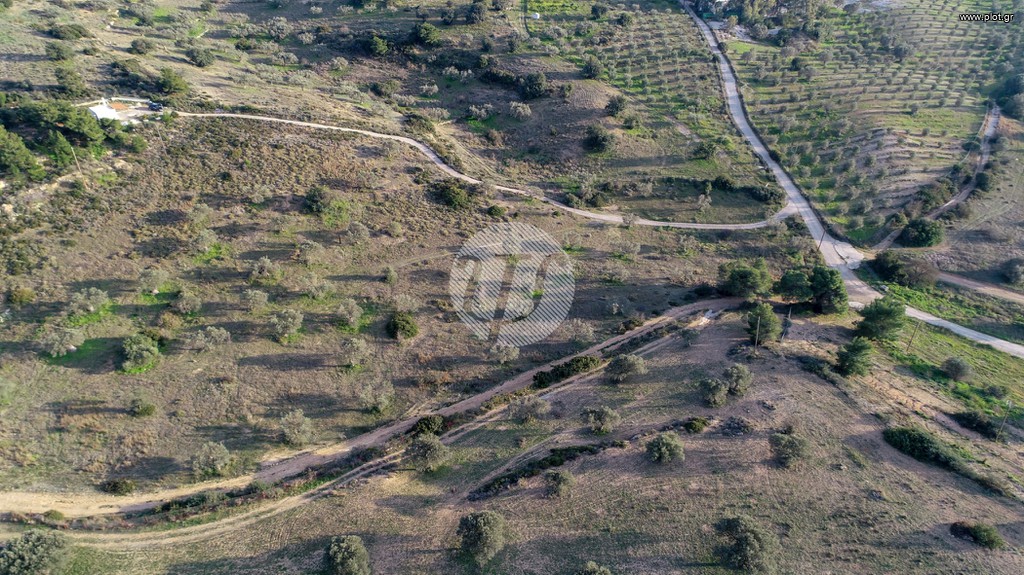 Οικόπεδο 20.000 τ.μ. προς πώληση, Αργολίδα, Κρανίδι