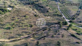 Οικόπεδο 20.000 τ.μ. για πώληση, Αργολίδα, Κρανίδι-thumb-1