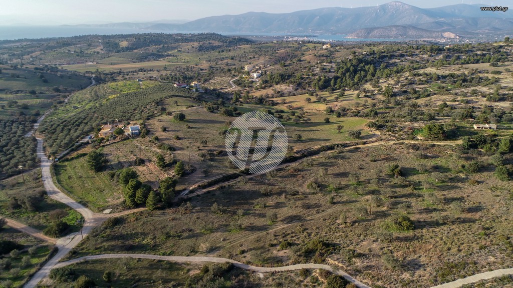Οικόπεδο 20.000 τ.μ. προς πώληση, Αργολίδα, Κρανίδι