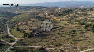 Οικόπεδο 20.000 τ.μ. για πώληση, Αργολίδα, Κρανίδι-thumb-2