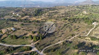 Οικόπεδο 20.000 τ.μ. για πώληση, Αργολίδα, Κρανίδι-thumb-3
