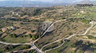 Οικόπεδο 20.000 τ.μ. για πώληση, Αργολίδα, Κρανίδι-thumb-4