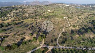 Οικόπεδο 20.000 τ.μ. για πώληση, Αργολίδα, Κρανίδι-thumb-5