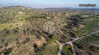 Οικόπεδο 20.000 τ.μ. για πώληση, Αργολίδα, Κρανίδι-thumb-6