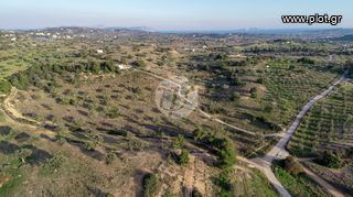 Οικόπεδο 20.000 τ.μ. για πώληση, Αργολίδα, Κρανίδι-thumb-7