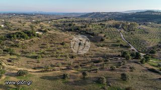 Οικόπεδο 20.000 τ.μ. για πώληση, Αργολίδα, Κρανίδι-thumb-8