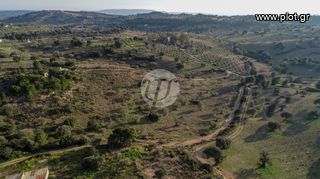 Οικόπεδο 20.000 τ.μ. για πώληση, Αργολίδα, Κρανίδι-thumb-9