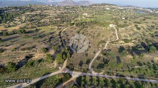 Οικόπεδο 20.000 τ.μ. για πώληση, Αργολίδα, Κρανίδι-thumb-10