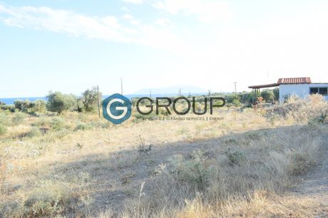 Parcel 2.900sqm for sale-Alexandroupoli » Makri