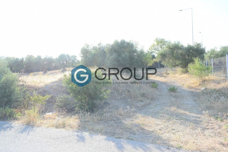 Αγροτεμάχια 2.900 τ.μ. πρός πώληση, Εβρος, Αλεξανδρούπολη
