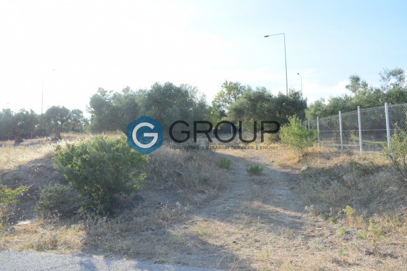 Αγροτεμάχια 2.900 τ.μ. πρός πώληση, Εβρος, Αλεξανδρούπολη
