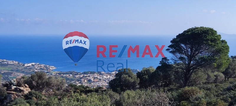 Οικόπεδο 4.860 τ.μ. προς πώληση, Αχλάδα Γαζίου