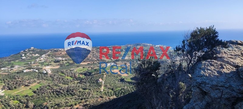 Οικόπεδο 4.860 τ.μ. προς πώληση, Αχλάδα Γαζίου
