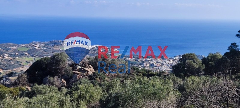 Οικόπεδο 4.860 τ.μ. προς πώληση, Αχλάδα Γαζίου