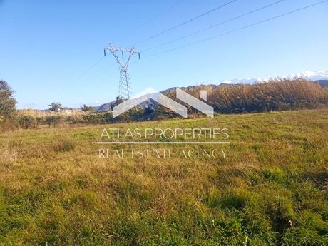 Οικόπεδο 16.135 τ.μ. για πώληση